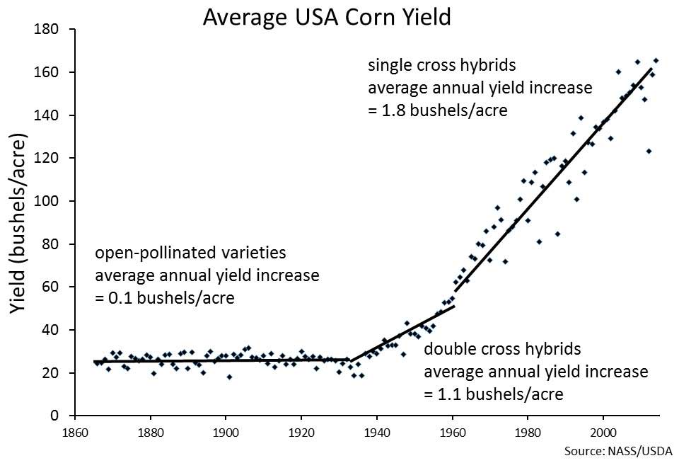 Table of Average USA Corn Yield, from 1860 to 2000 (Source NASS/NSDA): 
                            Highlighted data shows open-pollinated varieties average annual yield 
                            increase = 0.1 bu/acre; single cross hybrids average annual yield increase = 1.8 bu/acre; 
                            double cross hybrids average annual yield increase = 1.1 bu/acre.